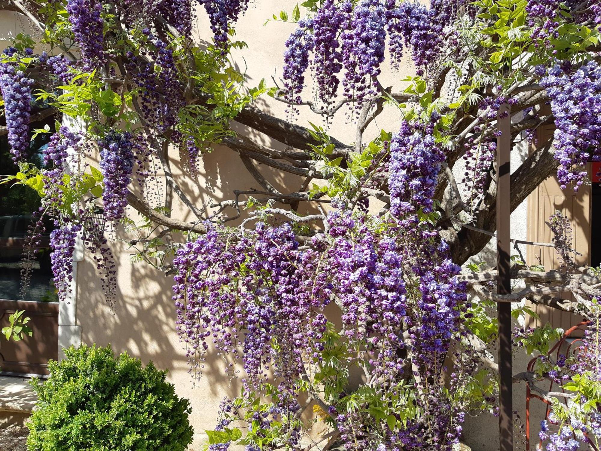 Cherche Midi Noves Exterior photo